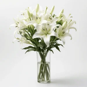 Lilium Bouquet - Κρίνοι σε ανθοδέσμη