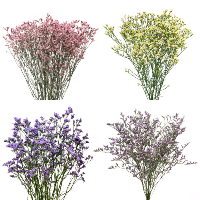 Limonium sinuatum dried flowers - Ανθοδέσμη Λιμόνιουμ - Image 7