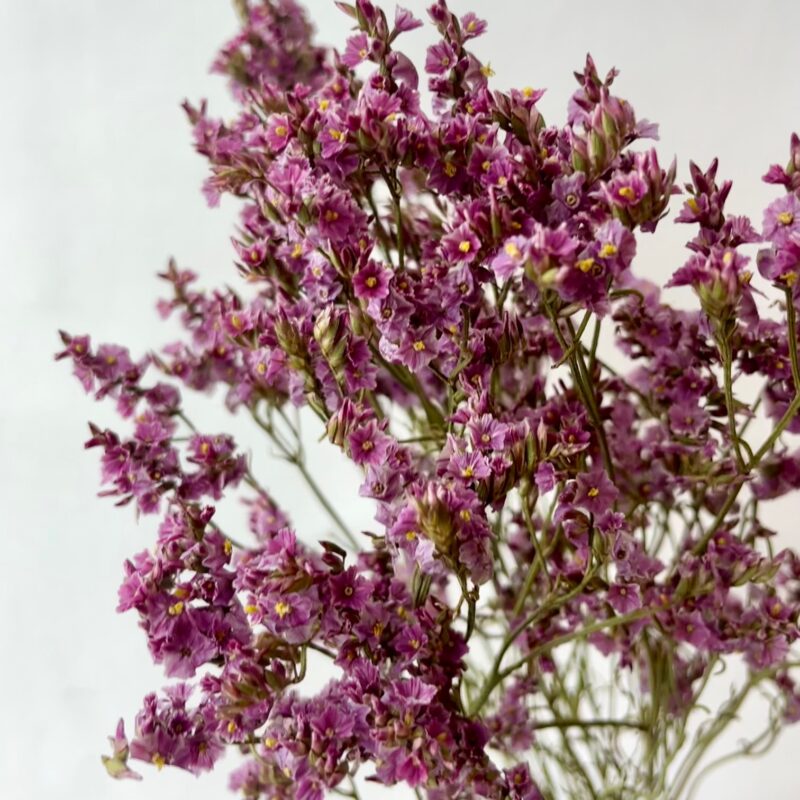Limonium sinuatum dried flowers - Ανθοδέσμη Λιμόνιουμ - Image 6