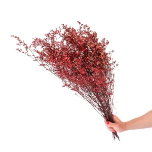 Limonium sinuatum dried flowers - Ανθοδέσμη Λιμόνιουμ