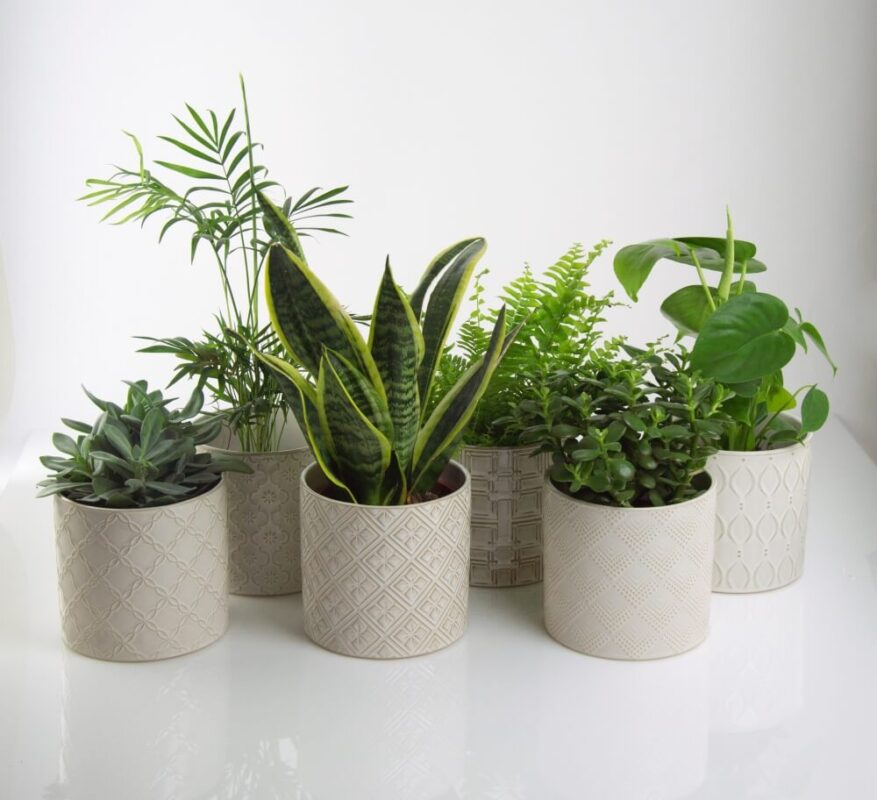Pots decorated-Κασπω διακόσμησης