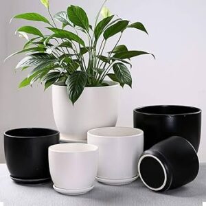 White Pots decorated-Κασπω διακόσμησης Λευκό