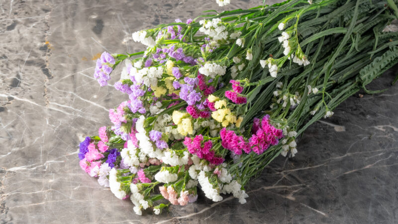 Amaranthus Helichrysum Stoechas -Ανθοδέσμη  Αμάραντος