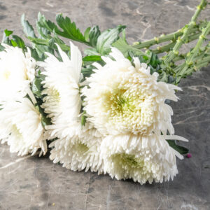 Chrysanthemum Large Head - Ανθοδέσμη Χρυσάνθεμο Κεφαλάτο