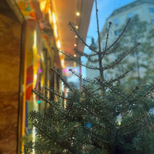 Χριστουγεννιάτικο Φυσικό Έλατο – Κομμένο