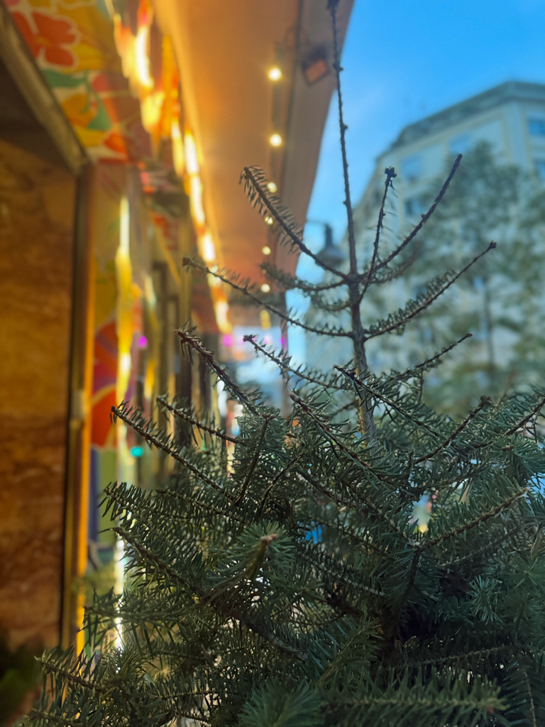 Χριστουγεννιάτικο Φυσικό Έλατο – Κομμένο