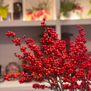 Χριστουγεννιάτικο Κλαδί – Winterberry