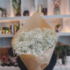 Babies Birth Flowers- Γυψοφύλλη