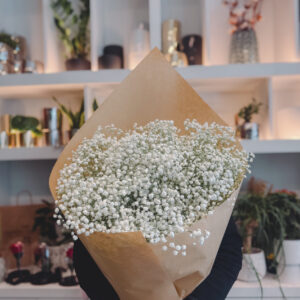Babies Birth Flowers- Γυψοφύλλη