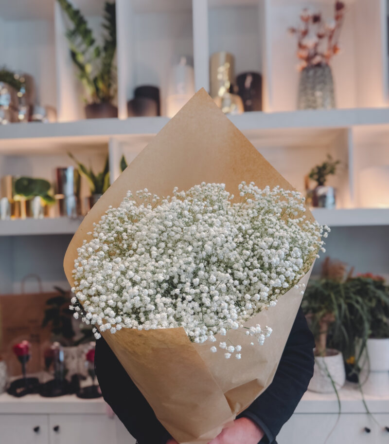 Babies Birth Flowers- Γυψοφύλλη