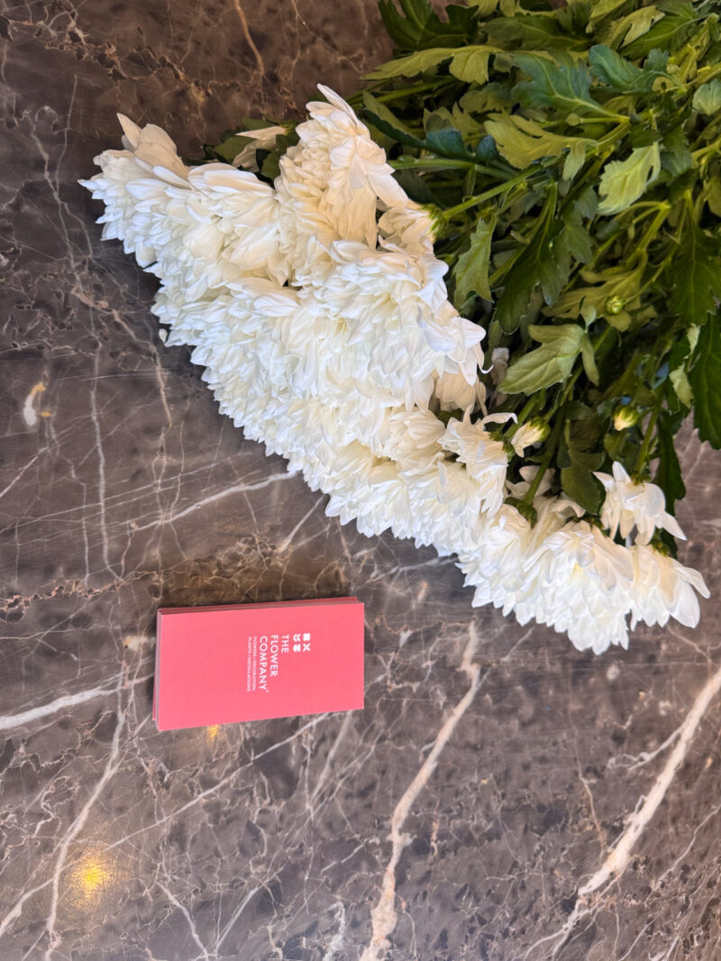 Χρυσάνθεμα σε Ανθοδέσμη – Chrysanthemum Bouquet