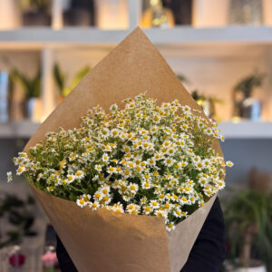 Ανθοδέσμη Χαμομήλι - Chamomile Bouquet