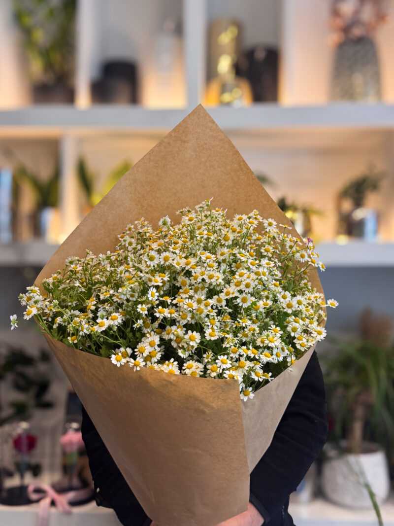 Ανθοδέσμη Χαμομήλι - Chamomile Bouquet