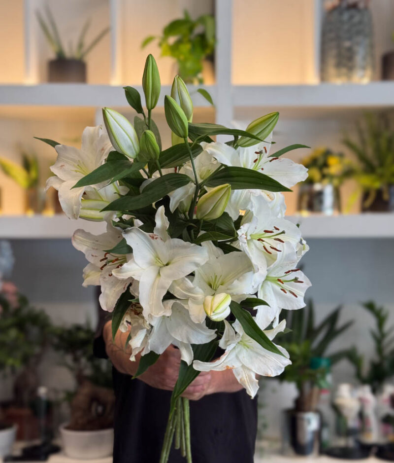 Lilium Bouquet - Κρίνοι σε ανθοδέσμη - Image 5