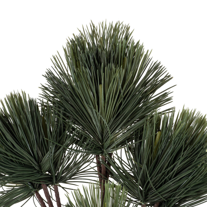 Pinus bunch- μπουκέτο από πεύκο - Image 4