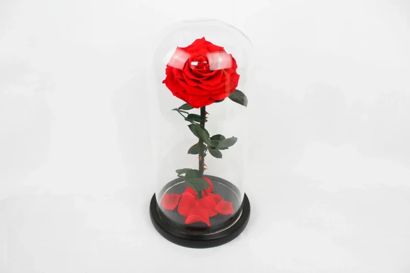 Ρόδο της Αθανασίας Σκούρο Πράσινο  - Forever Rose Glass Green Dark - Image 3