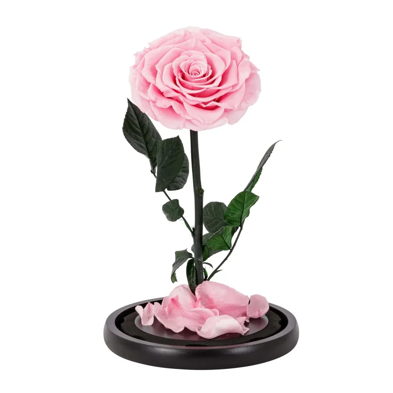 Ρόδο της Αθανασίας Σκούρο Πράσινο  - Forever Rose Glass Green Dark - Image 4