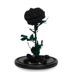 Ρόδο της Αθανασίας Μαύρο - Forever Rose Glass Black