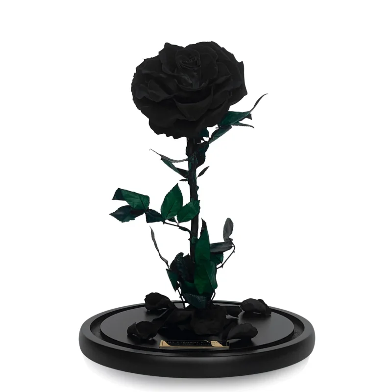 Ρόδο της Αθανασίας Σκούρο Πράσινο  - Forever Rose Glass Green Dark - Image 8