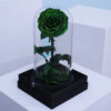 Ρόδο της Αθανασίας Σκούρο Πράσινο  - Forever Rose Glass Green Dark