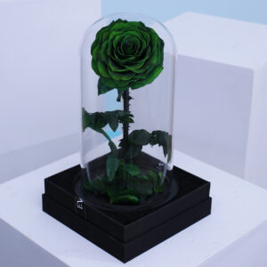 Ρόδο της Αθανασίας Σκούρο Πράσινο  - Forever Rose Glass Green Dark