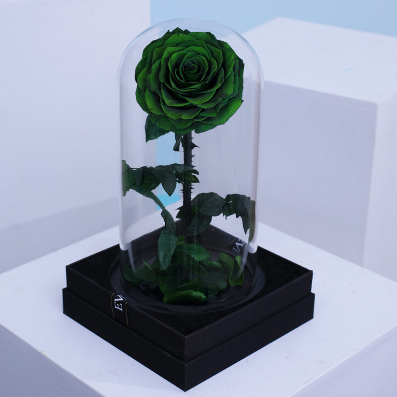 Ρόδο της Αθανασίας Σκούρο Πράσινο  - Forever Rose Glass Green Dark