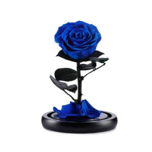Ρόδο της Αθανασίας Σκούρο Μπλε - Forever Rose Glass Blue Dark