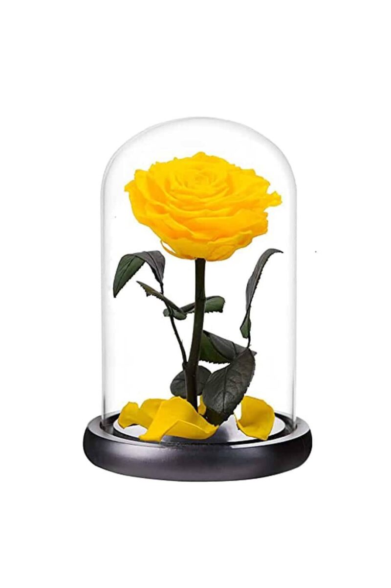 Ρόδο της Αθανασίας Σκούρο Πράσινο  - Forever Rose Glass Green Dark - Image 16