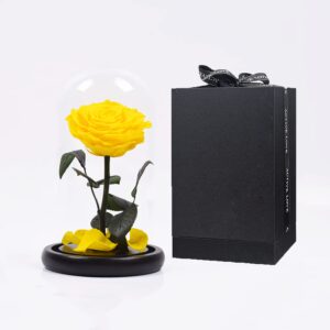 Ρόδο της Αθανασίας Κίτρινο - Forever Rose Glass Yellow