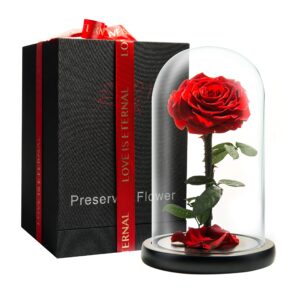 Ρόδο της Αθανασίας Κόκκινο - Forever Rose Glass Red Edition