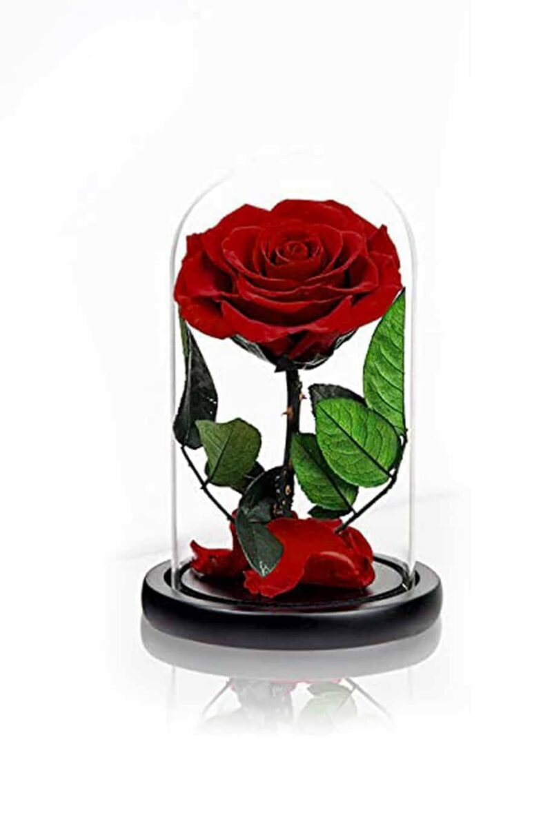 Ρόδο της Αθανασίας Σκούρο Πράσινο  - Forever Rose Glass Green Dark - Image 17