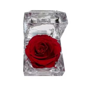 Αθάνατο Τριαντάφυλλο σε πλέξι- Plexiglass forever rose