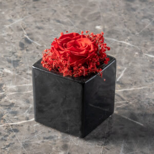 Κασπω με αποχυμωμενο τριαντάφυλλο- pot rose