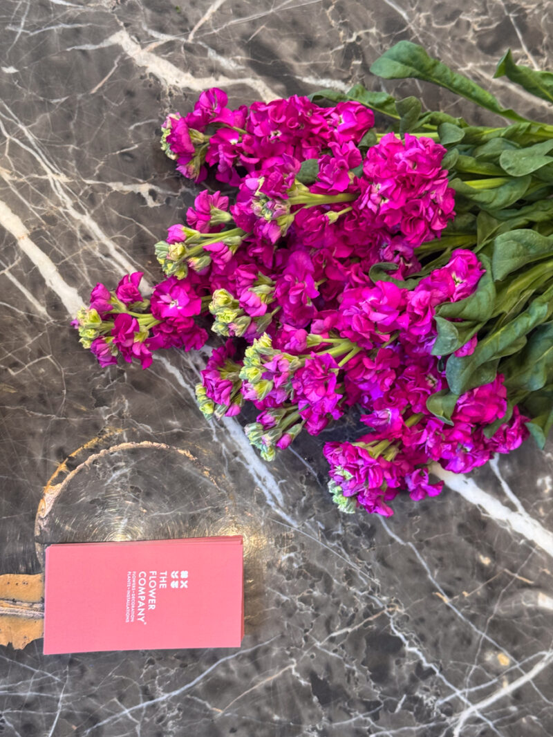 Ανθοδέσμη με Βιολέτες – Violetta Bouquet - Image 5