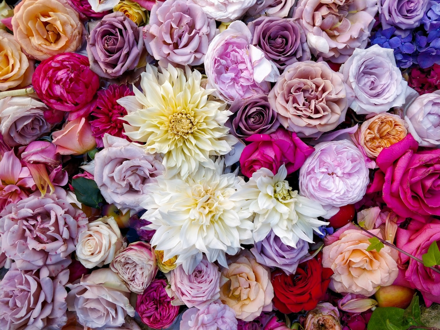 THE FLOWER COMPANY