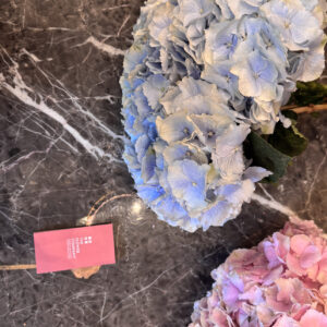 Ανθοδέσμη Ορτανσία – Hydrangea Bouquet