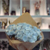 Ανθοδέσμη Ορτανσία – Hydrangea Bouquet