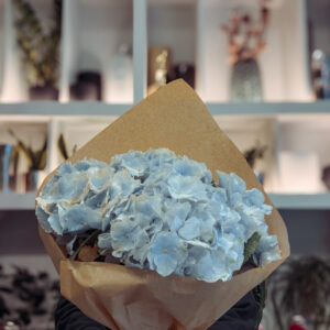 Ανθοδέσμη Ορτανσία – Hydrangea Bouquet