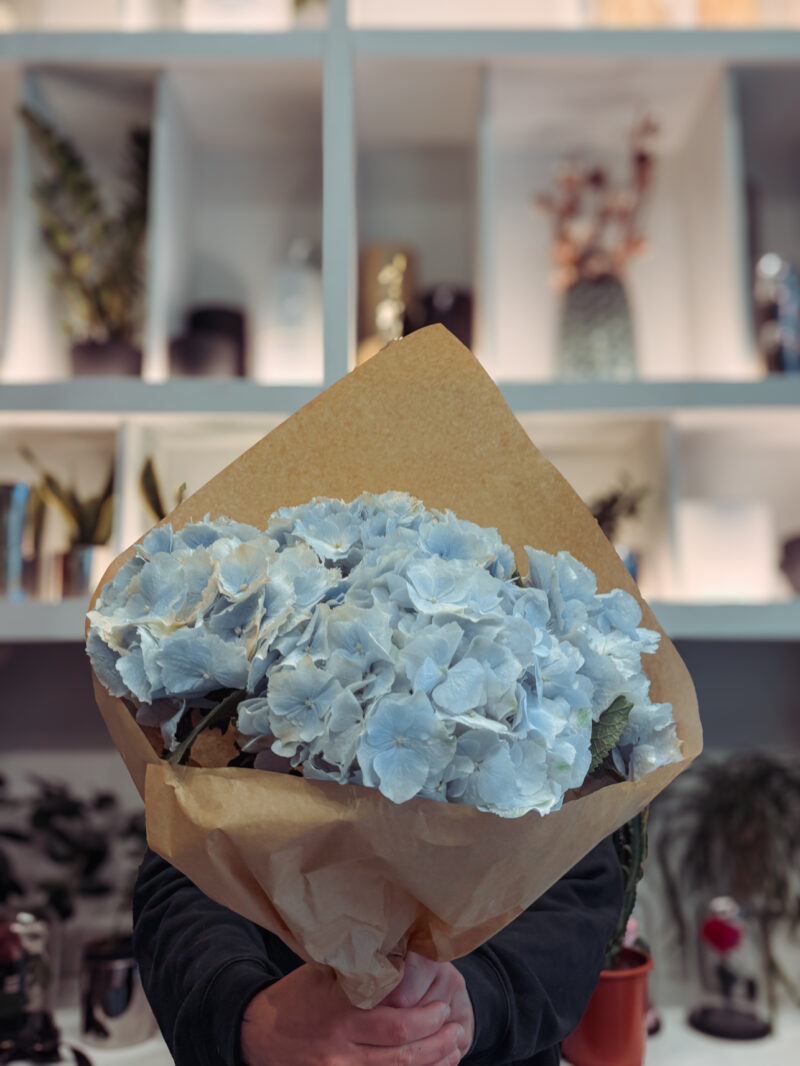 Ανθοδέσμη Ορτανσία – Hydrangea Bouquet