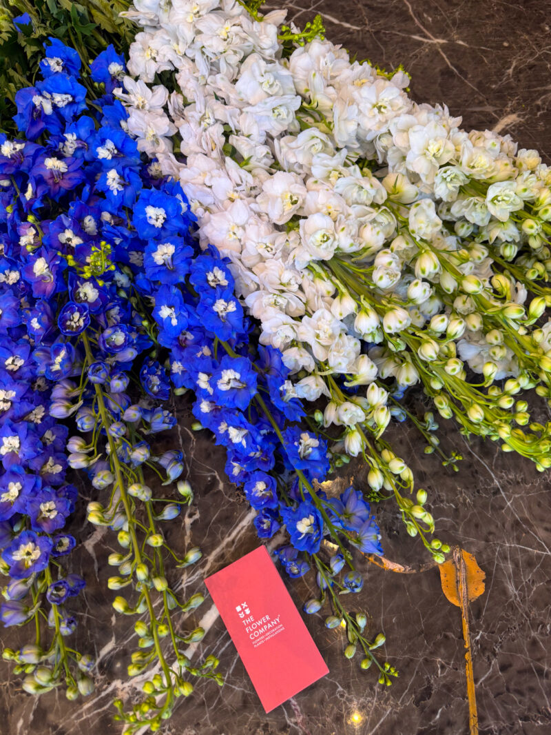 Δελφίνιο – Delphinium - Image 3