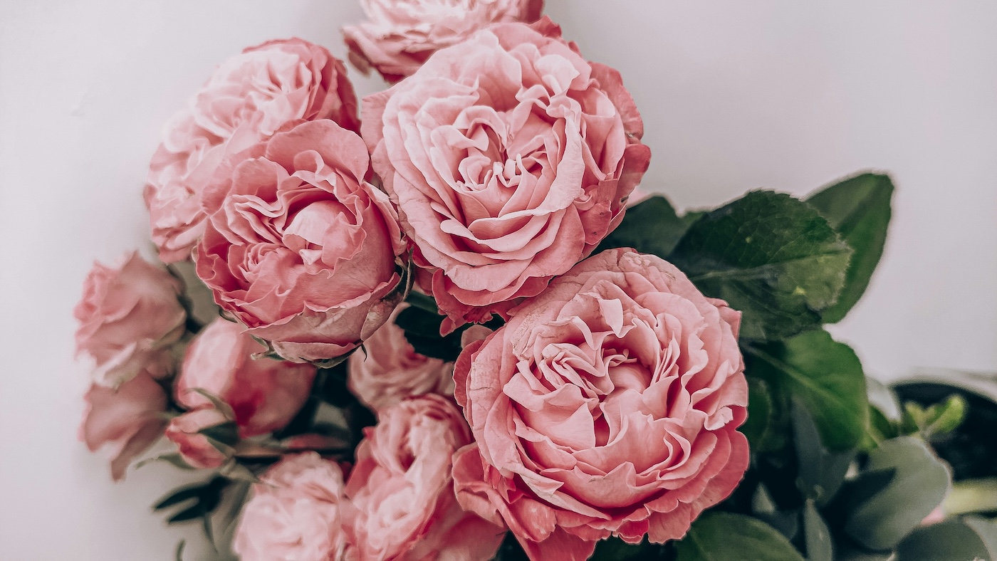 Καλοκαιρινές Ανθοδέσμες THE FLOWER COMPANY