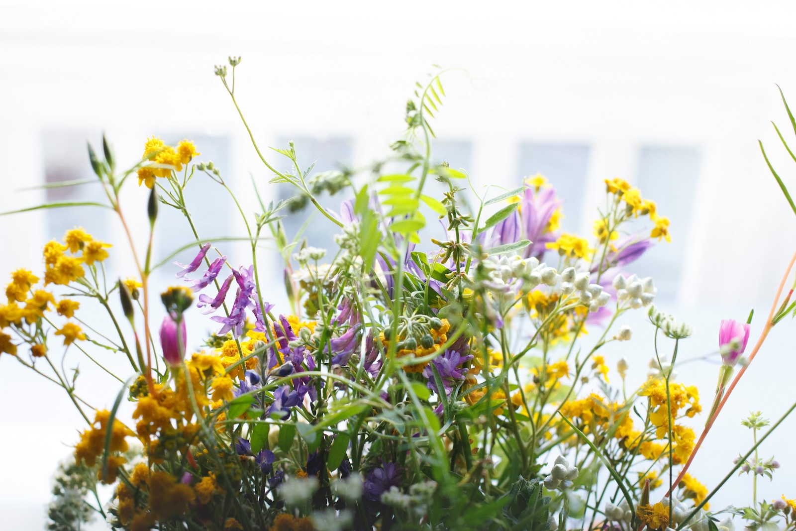 Καλοκαιρινές Ανθοσυνθέσεις: THE FLOWER COMPANY