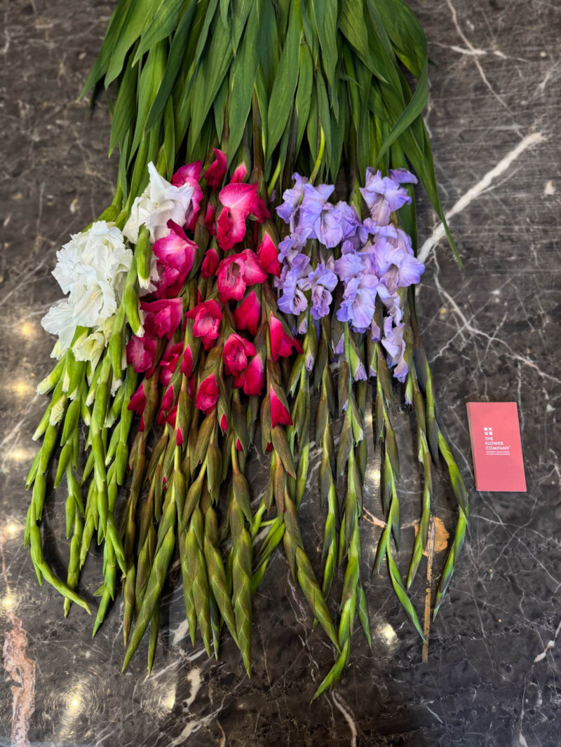 Γλαδιόλα Ανθοδέσμη - Gladiolus - Image 2