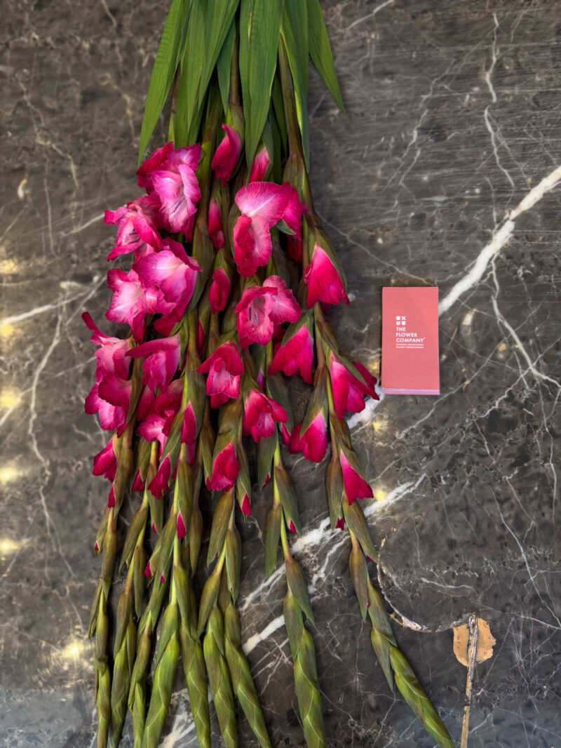 Γλαδιόλα Ανθοδέσμη - Gladiolus - Image 3