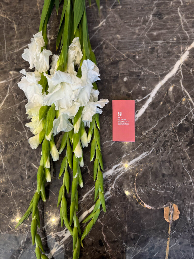Γλαδιόλα Ανθοδέσμη - Gladiolus - Image 4