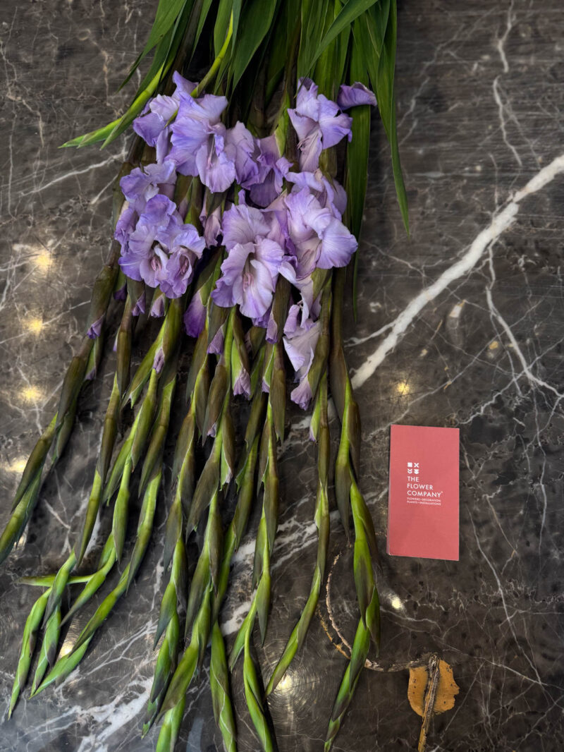 Γλαδιόλα Ανθοδέσμη - Gladiolus - Image 10