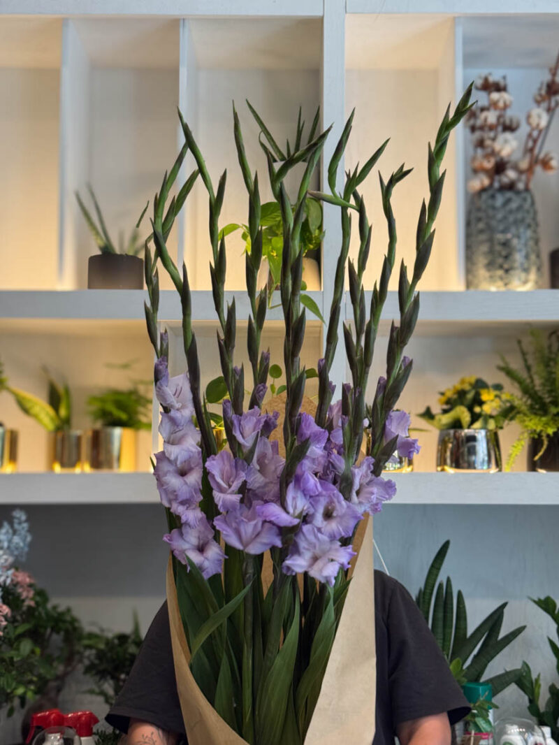 Γλαδιόλα Ανθοδέσμη - Gladiolus - Image 9