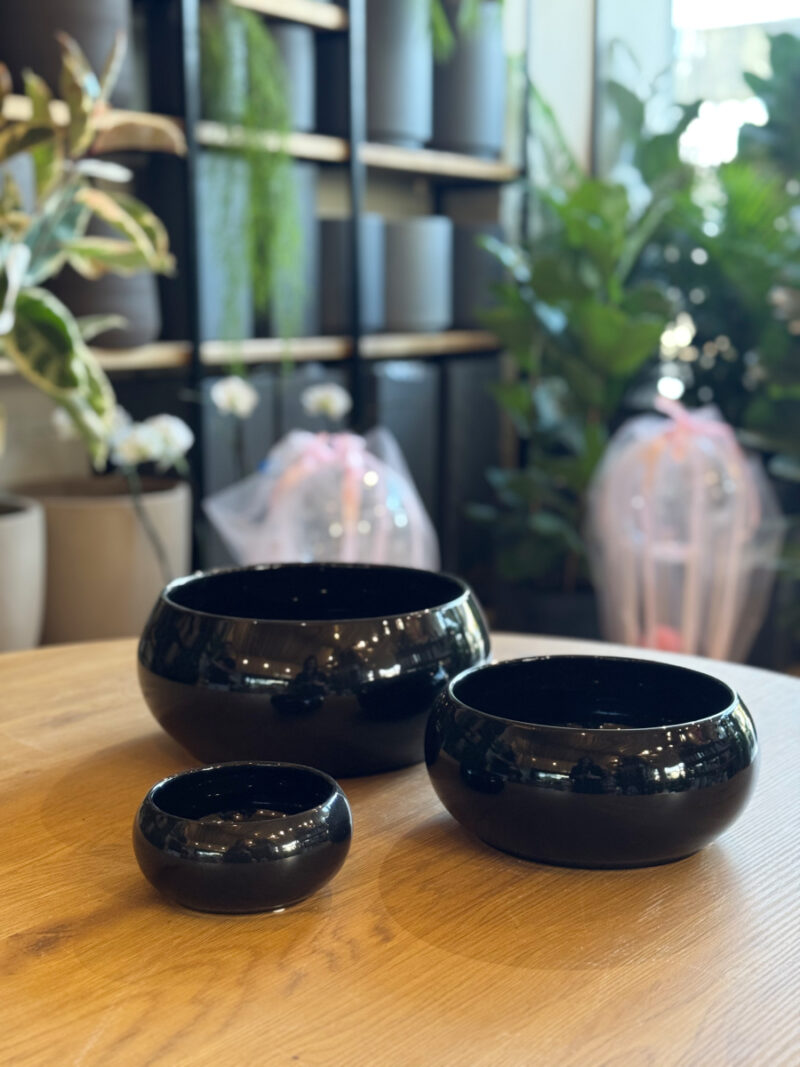 Κασπώ Πιατέλα Bonsai Bowl - Image 13