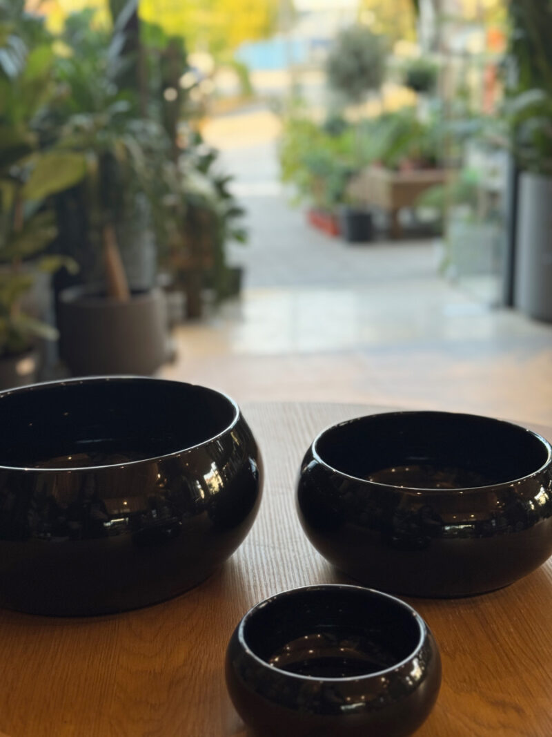 Κασπώ Πιατέλα Bonsai Bowl
