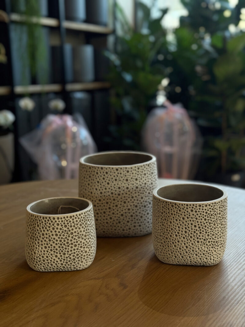 Τσιμεντένιο Κασπώ Lava Dots - Image 18